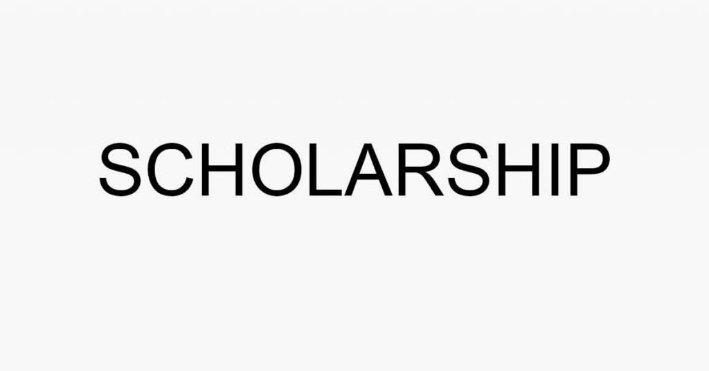 Swedish Institute Scholarships 2020|2021