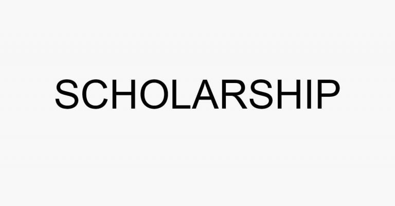 Swedish Institute Scholarships 2020|2021