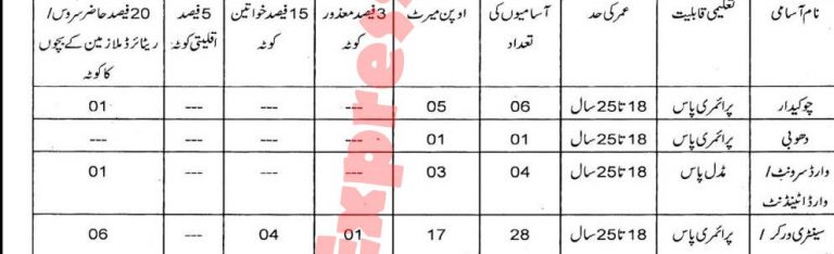 district health kasur jobs