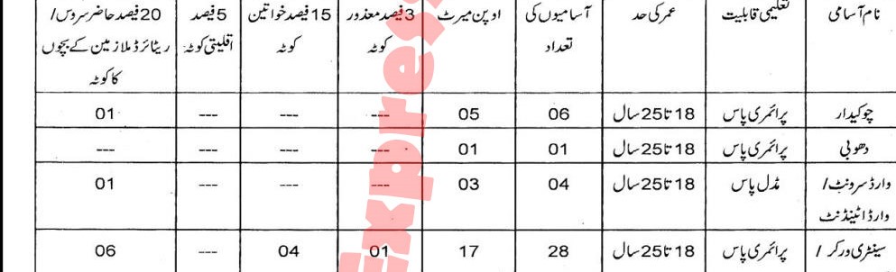 district health kasur jobs